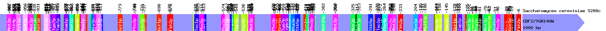 Generated Image with TFs binding to the inserted promoters